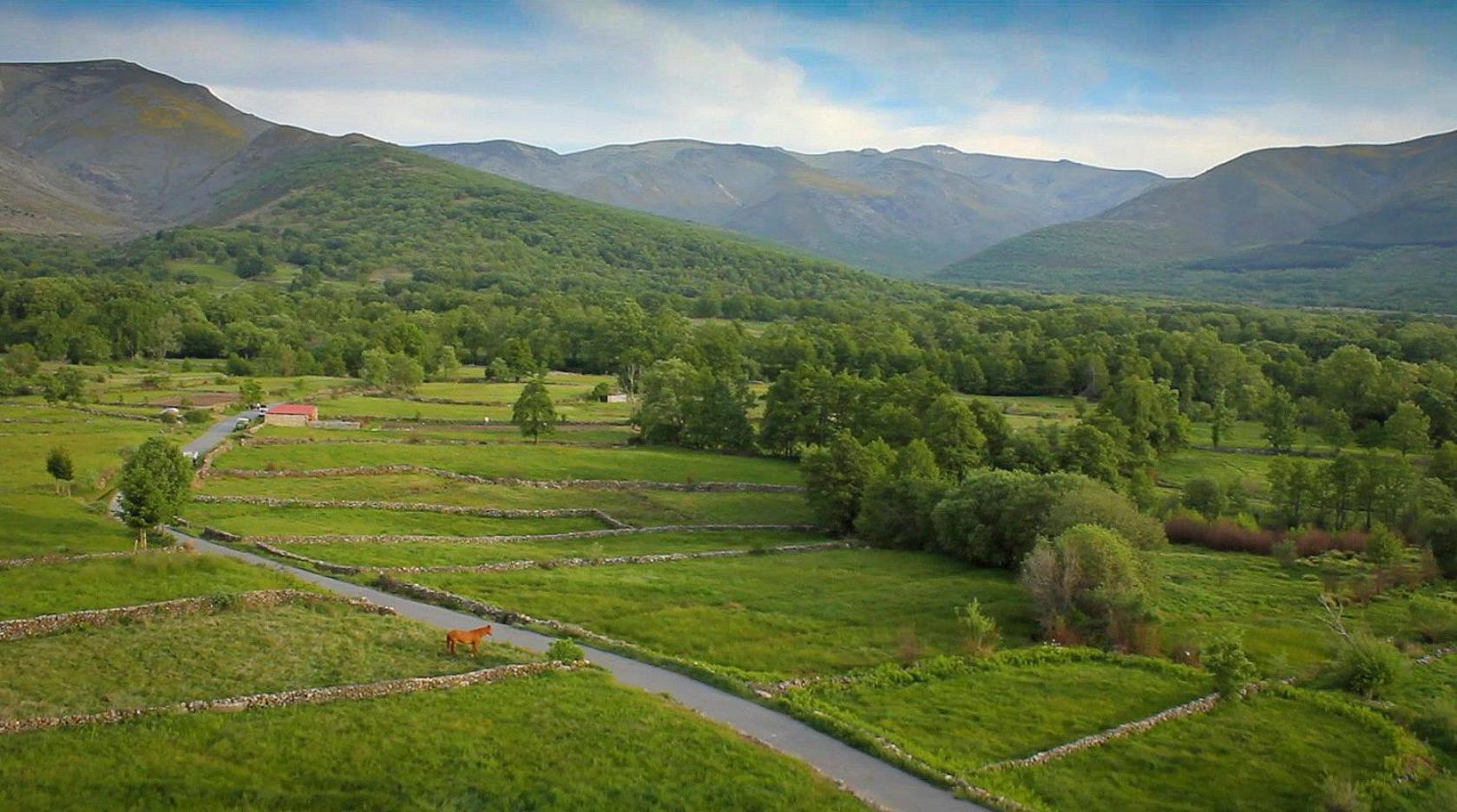 Navalonguilla Remanso De Gredos 게스트하우스 외부 사진