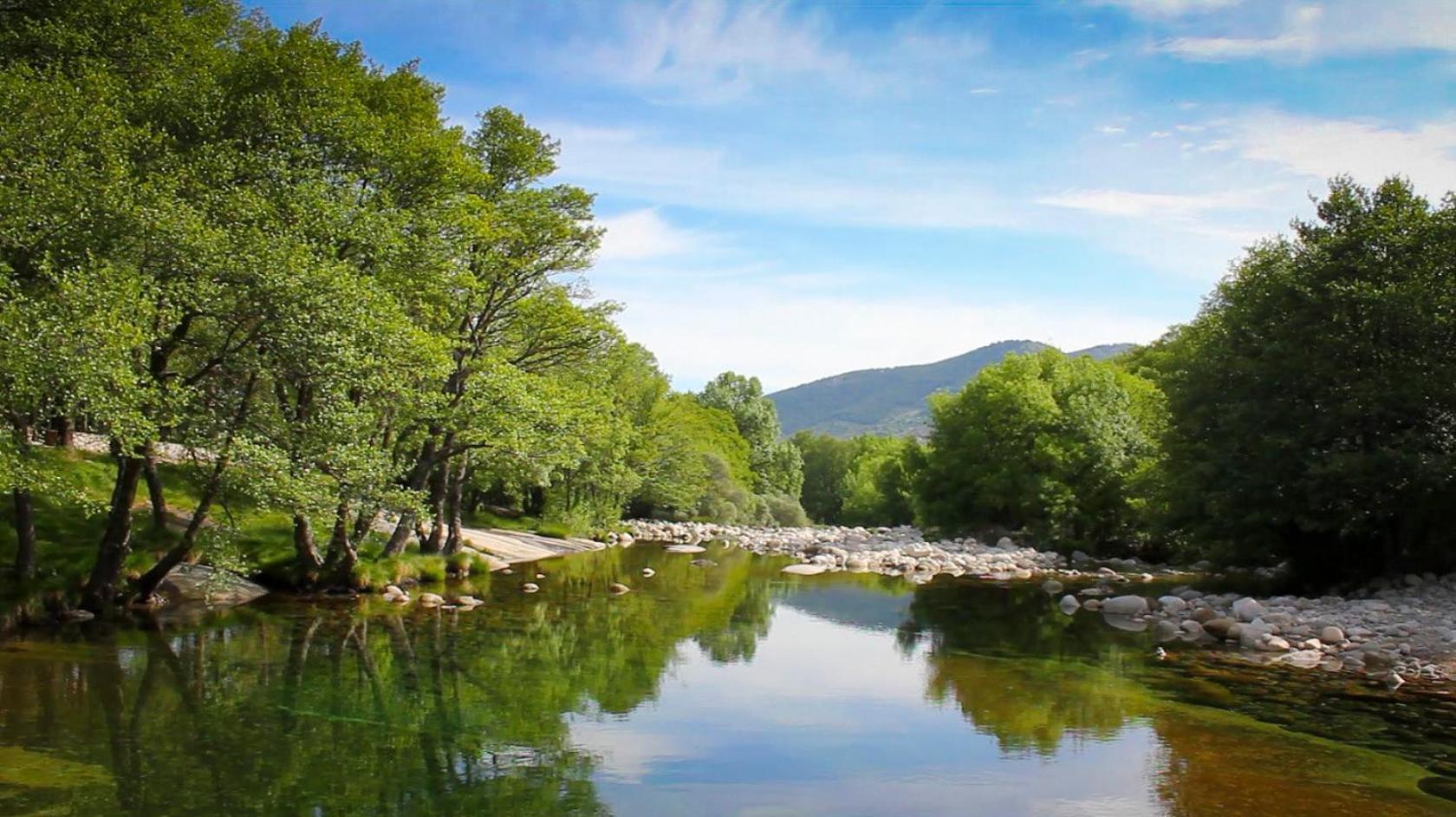 Navalonguilla Remanso De Gredos 게스트하우스 외부 사진